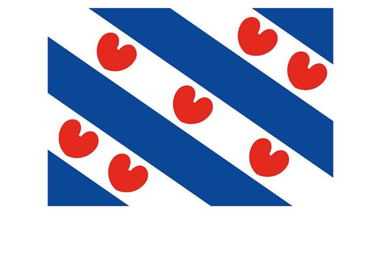 Vlag Friesland