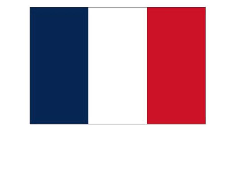 Vlag Frankrijk