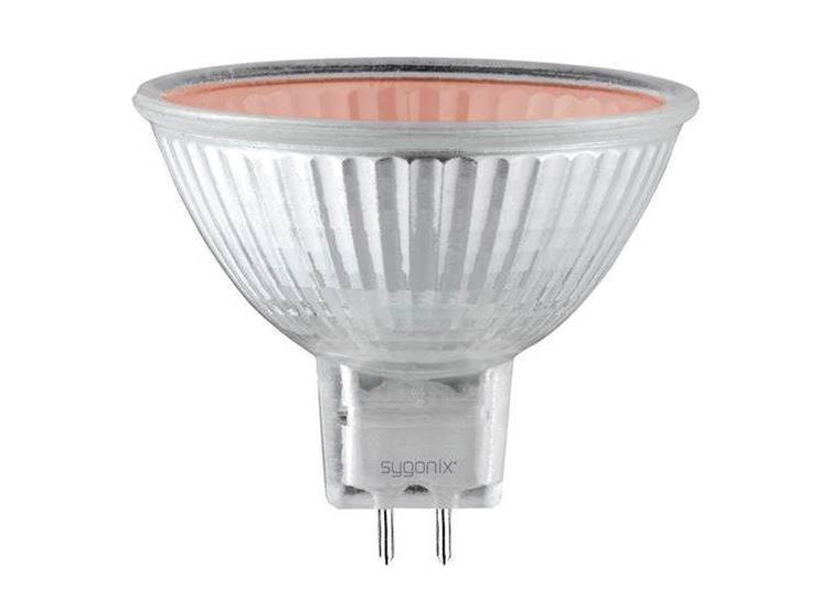 Halogeenlamp GU5.3 12V/50W Rood