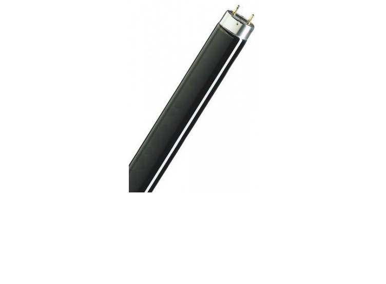 Philips TL 8W 108 blacklight